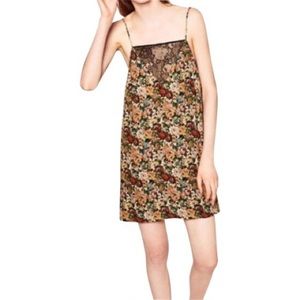 Zara Floral and Lace Panel Dress